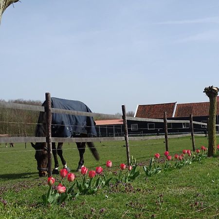 Bed and Breakfast De Tulp Noordgouwe Esterno foto