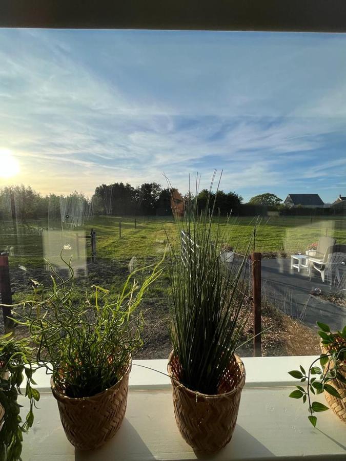 Bed and Breakfast De Tulp Noordgouwe Esterno foto