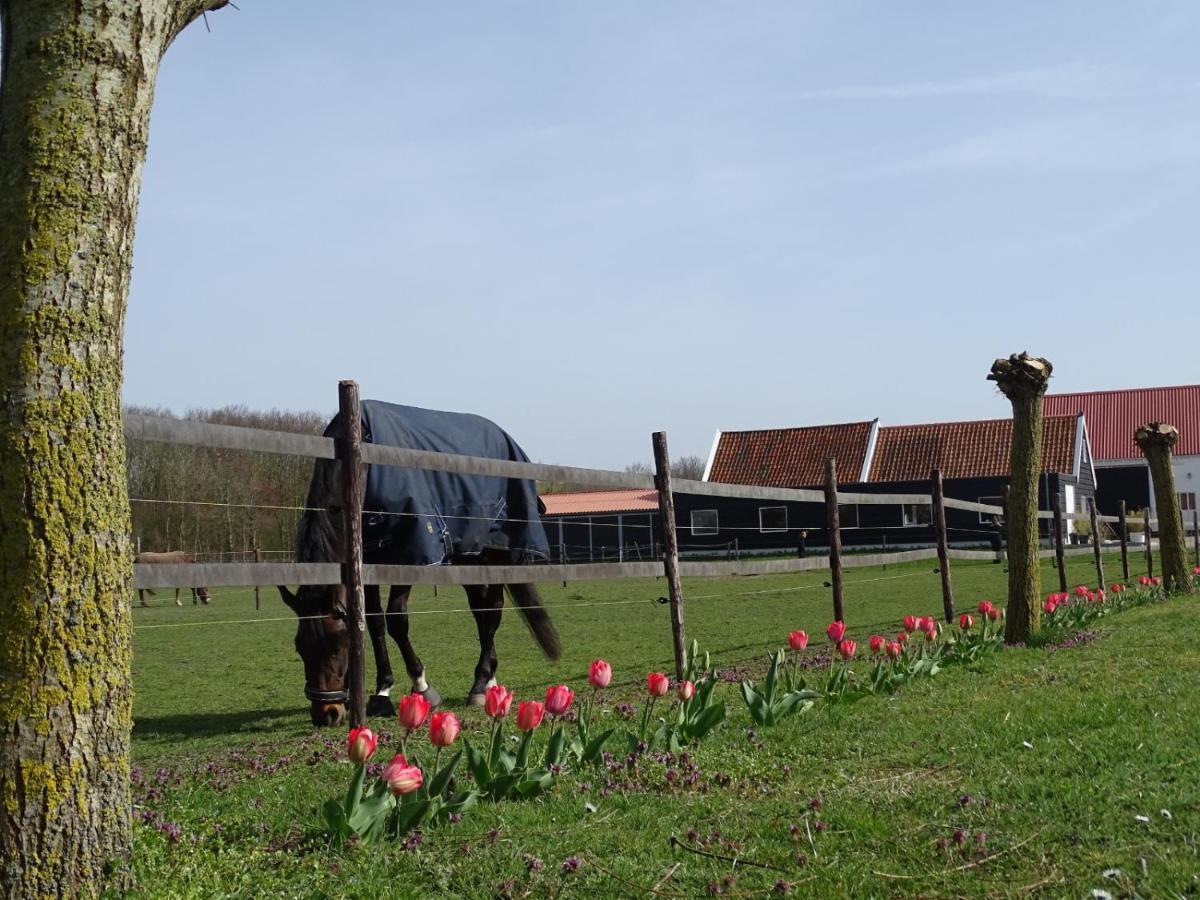 Bed and Breakfast De Tulp Noordgouwe Esterno foto