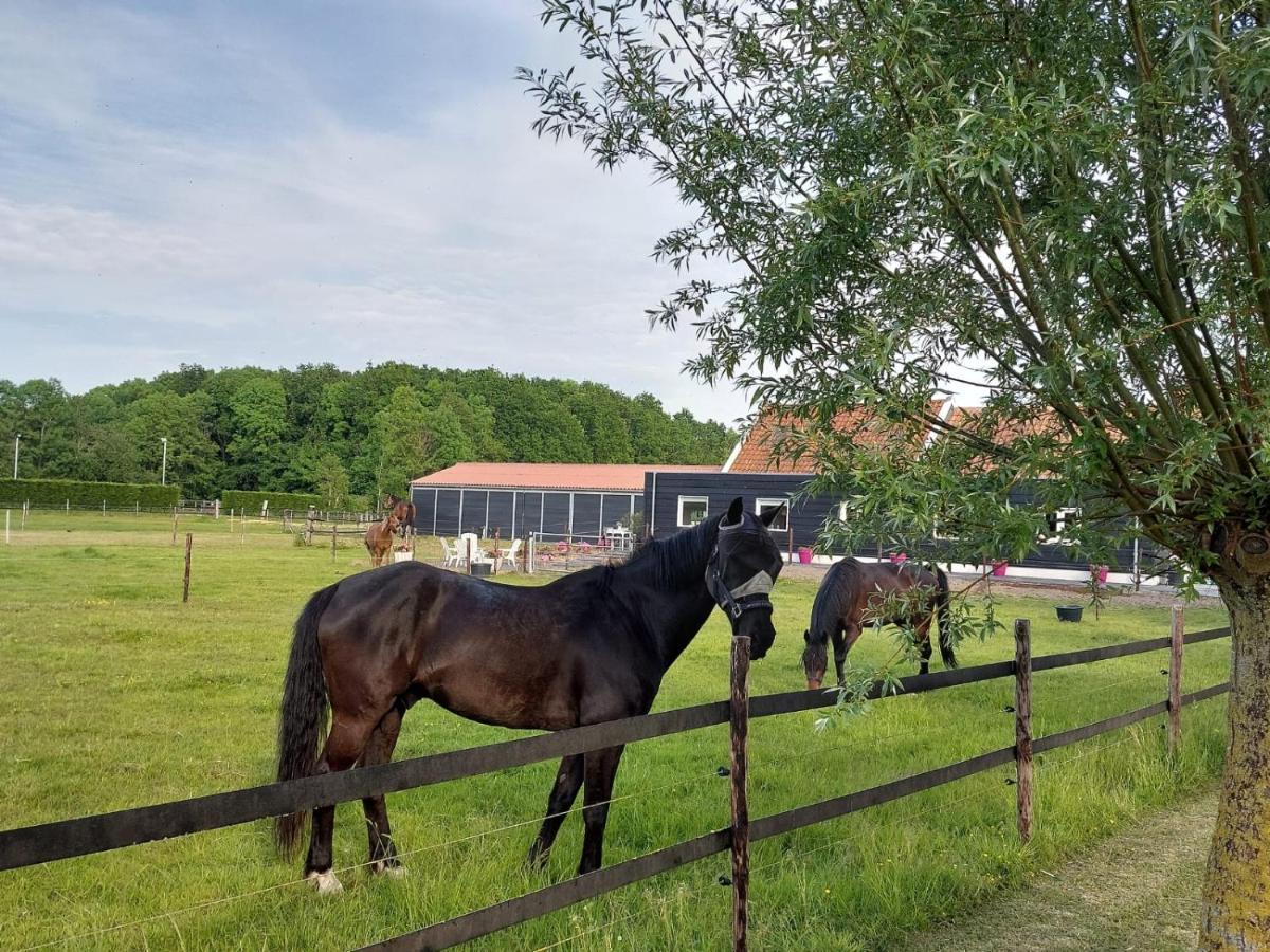 Bed and Breakfast De Tulp Noordgouwe Esterno foto