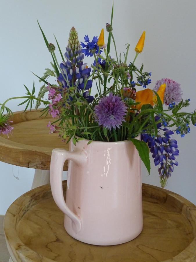 Bed and Breakfast De Tulp Noordgouwe Esterno foto