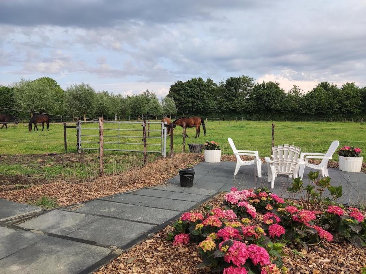 Bed and Breakfast De Tulp Noordgouwe Esterno foto