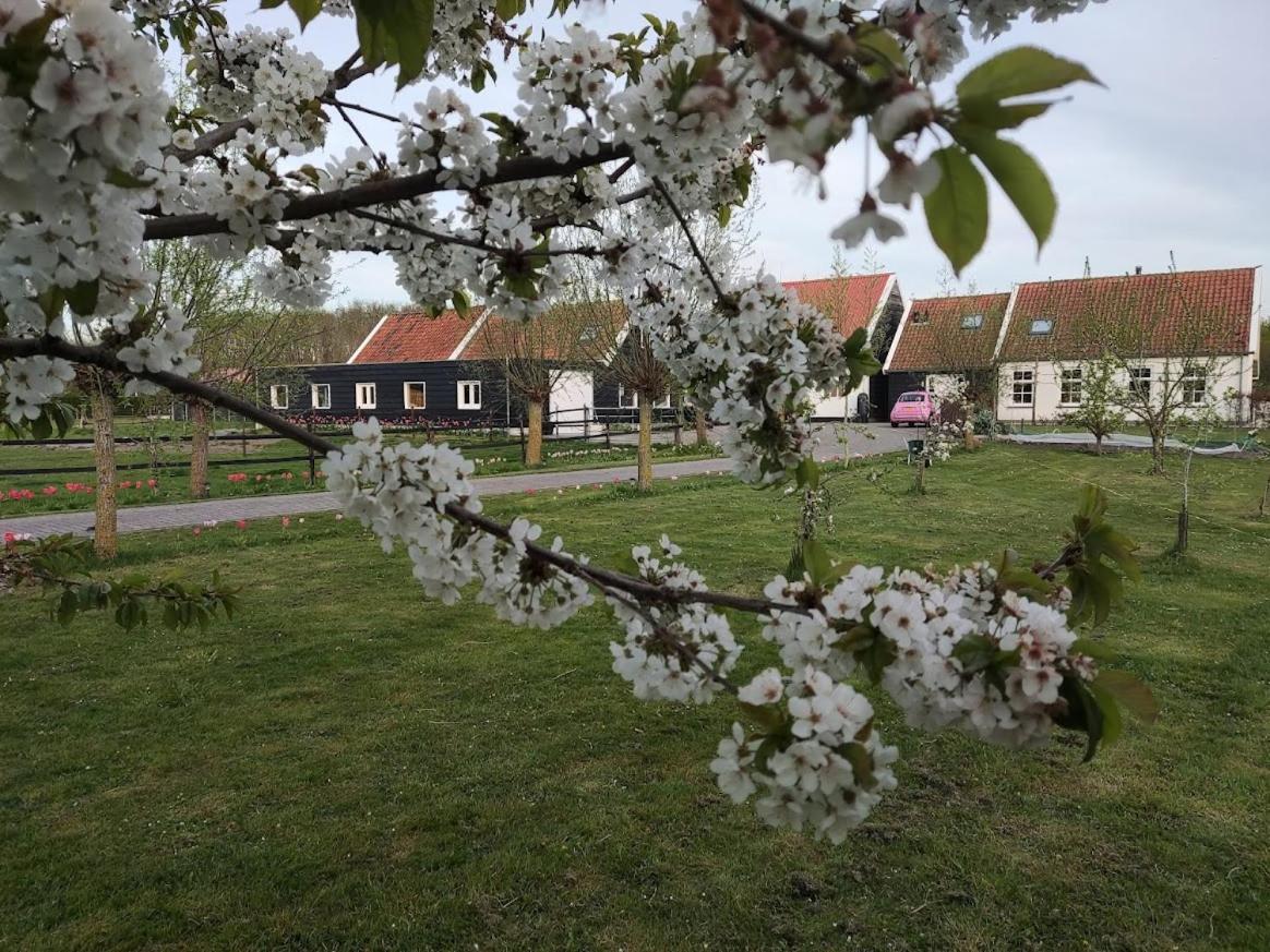 Bed and Breakfast De Tulp Noordgouwe Esterno foto